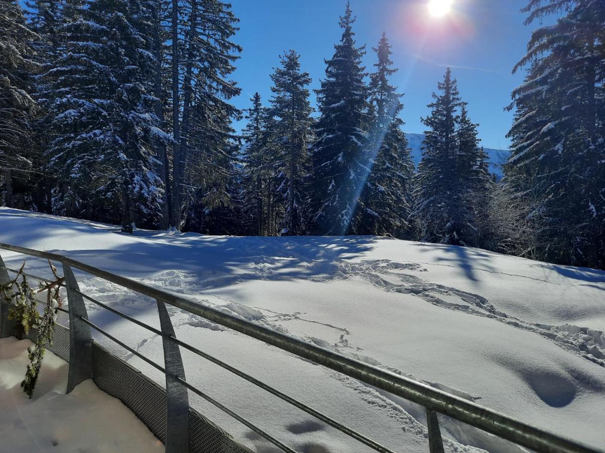 La Petite Foret Chamrousse 1700 外观 照片