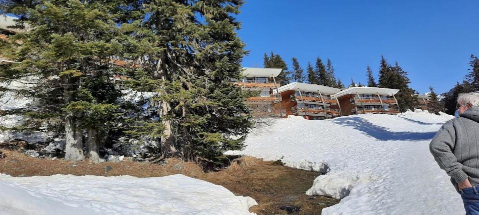La Petite Foret Chamrousse 1700 外观 照片