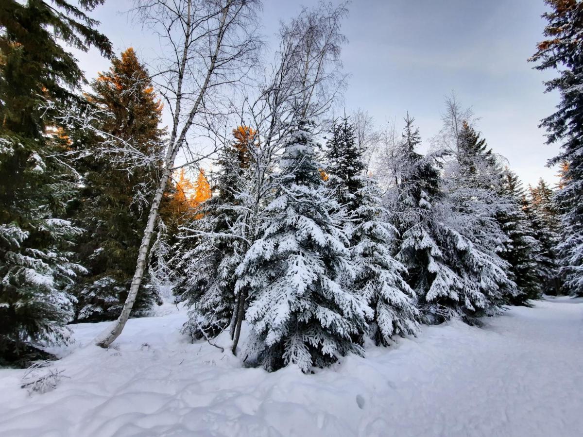 La Petite Foret Chamrousse 1700 外观 照片