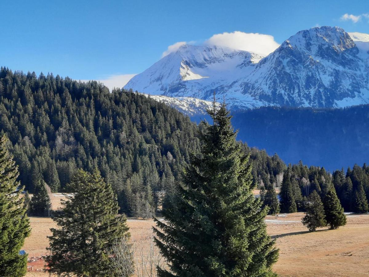 La Petite Foret Chamrousse 1700 外观 照片
