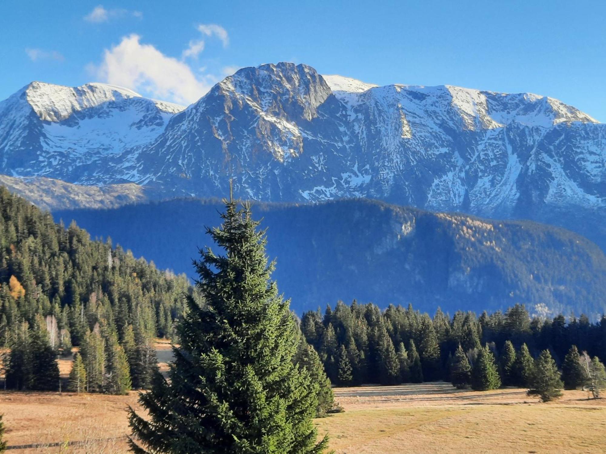 La Petite Foret Chamrousse 1700 外观 照片