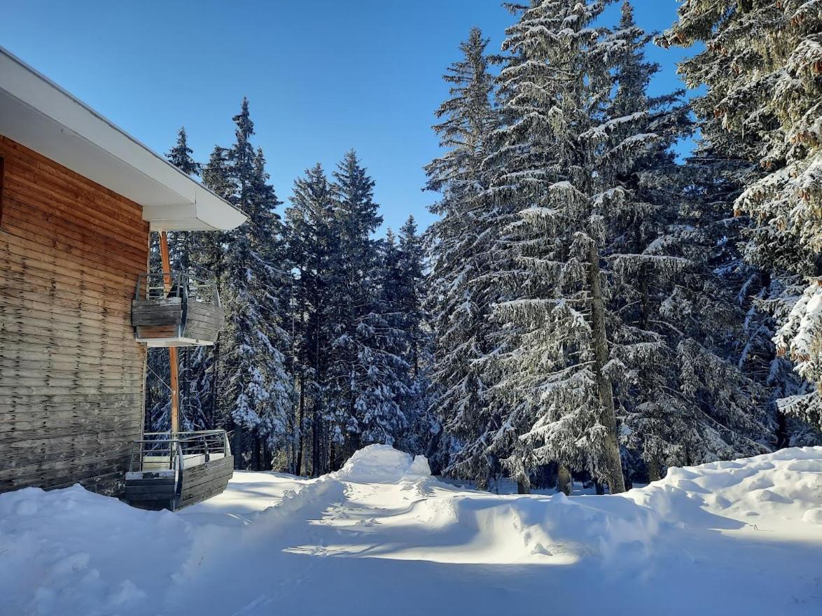 La Petite Foret Chamrousse 1700 外观 照片